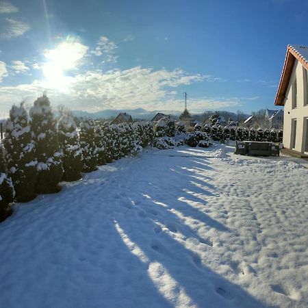 Sniezka House Villa Мислаковице Екстериор снимка